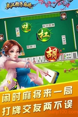 武汉赖子麻将图1