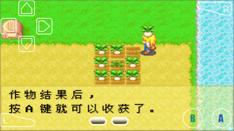 牧场物语女[图7]