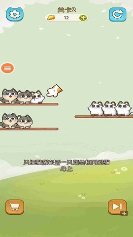我的可爱猫咪[图1]