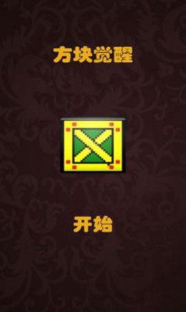 方块觉醒[图3]