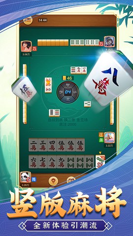 淮南麻将图1