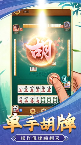 淮南麻将图2