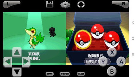 口袋妖怪黑白版图2