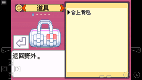 口袋妖怪传说绿宝石手机版图3
