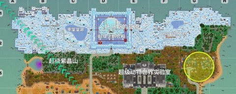 小动物之星[图1]