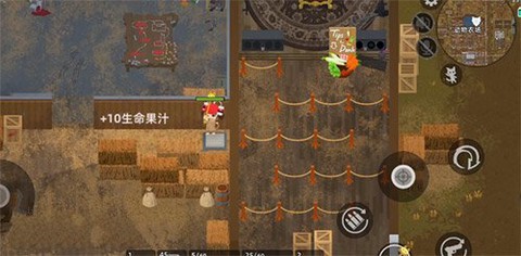 小动物之星[图8]