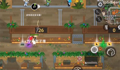 小动物之星[图11]