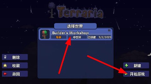 泰拉瑞亚tm[图11]