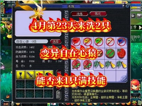 神武变异宝宝洗了会怎么样[图1]