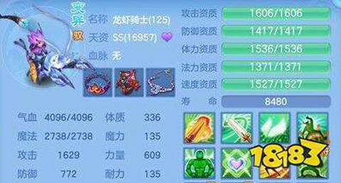 神武反制宠怎么加点[图1]