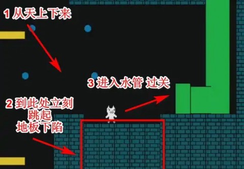 猫里奥联机版[图12]