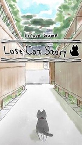 迷路的猫[图1]