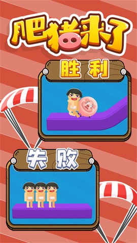 肥猪来了图2