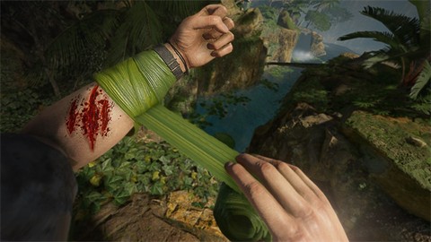 绿色地狱[图2]