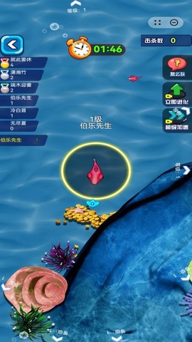 赶海日记[图1]