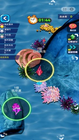 赶海日记图2