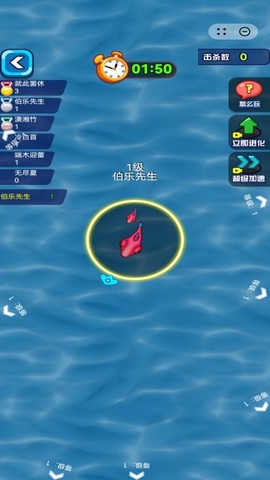 赶海日记图3