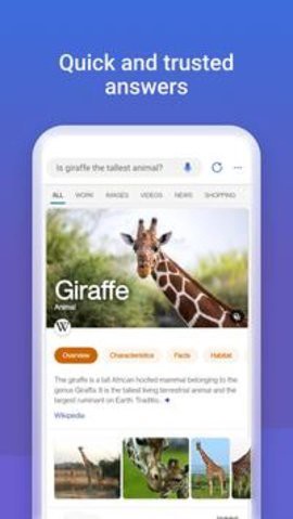 newbing[图2]