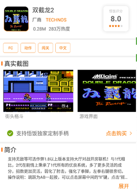 双截龙2图1