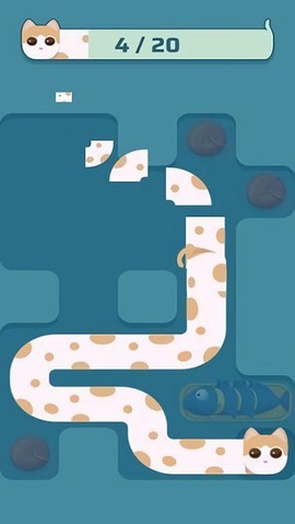 软猫猫图2