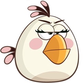 暴怒的小鸟[图5]