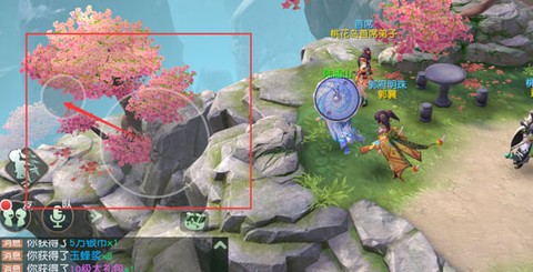 神雕侠侣[图2]