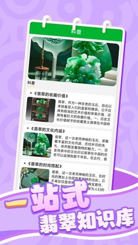 翡了个翠图3