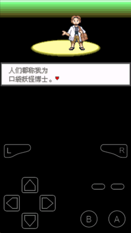 口袋妖怪极光石图1