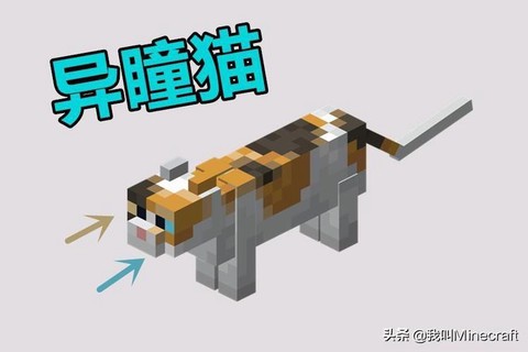 我的世界里怎么驯服猫
