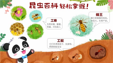 奇妙昆虫世界图3