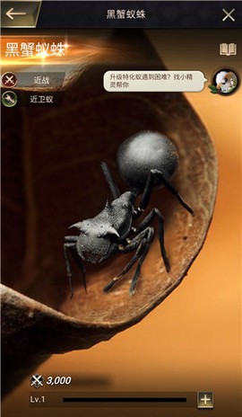 小小蚁国[图7]