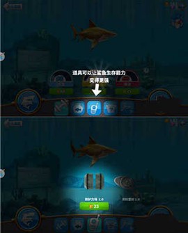 饥饿鲨世界国际服正版[图5]