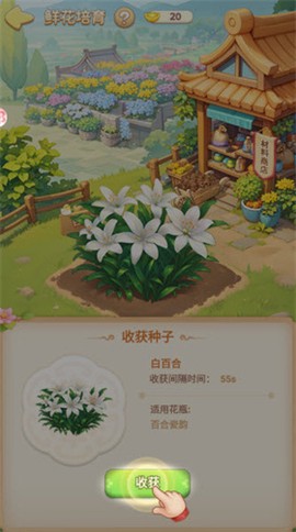 我的花园世界[图8]