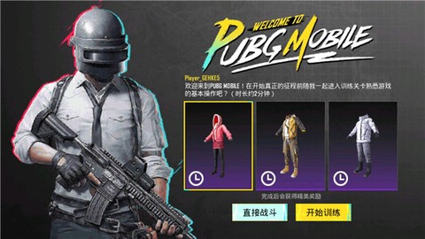 和平精英国际版[图3]