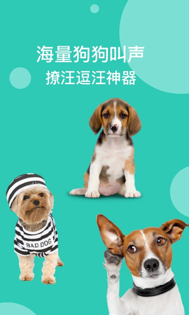 狗语翻译机图1