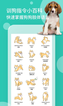 狗语翻译机图2