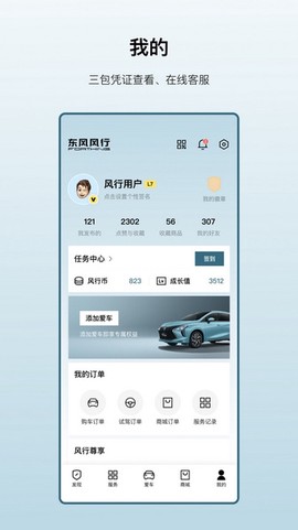 东风风行[图1]