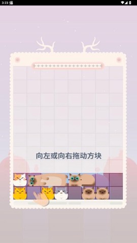 土耳其猫咪消除图2