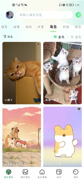 飞花动态壁纸[图3]