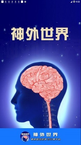 神外世界图1