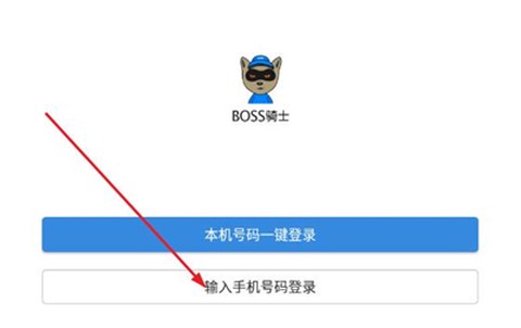 boss骑士[图1]