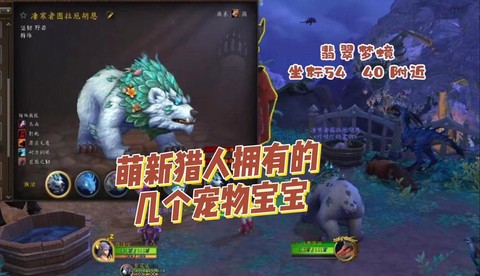 魔兽世界猎人宝宝什么好[图1]