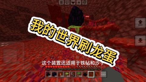 我的世界未影龙蛋怎么孵化视频