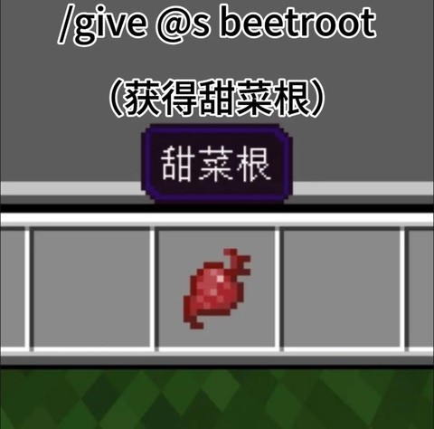 我的世界萝卜有什么用[图2]