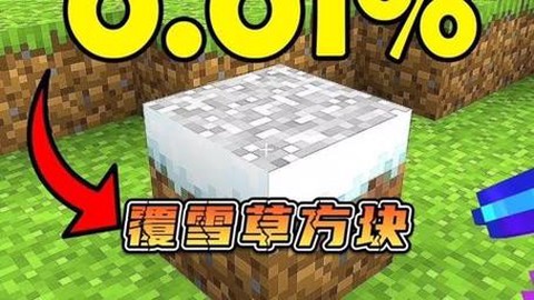 我的世界雪块有什么用[图2]
