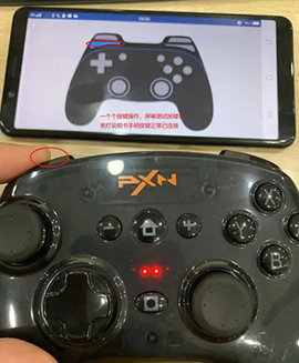 小鸡模拟器手柄[图7]