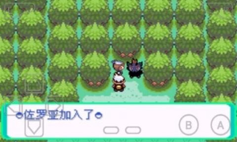 漆黑魅影图2