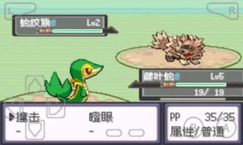 漆黑魅影图3