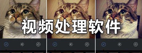 蘑菇影音图3