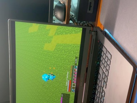 玩我的世界为什么闪退[图2]